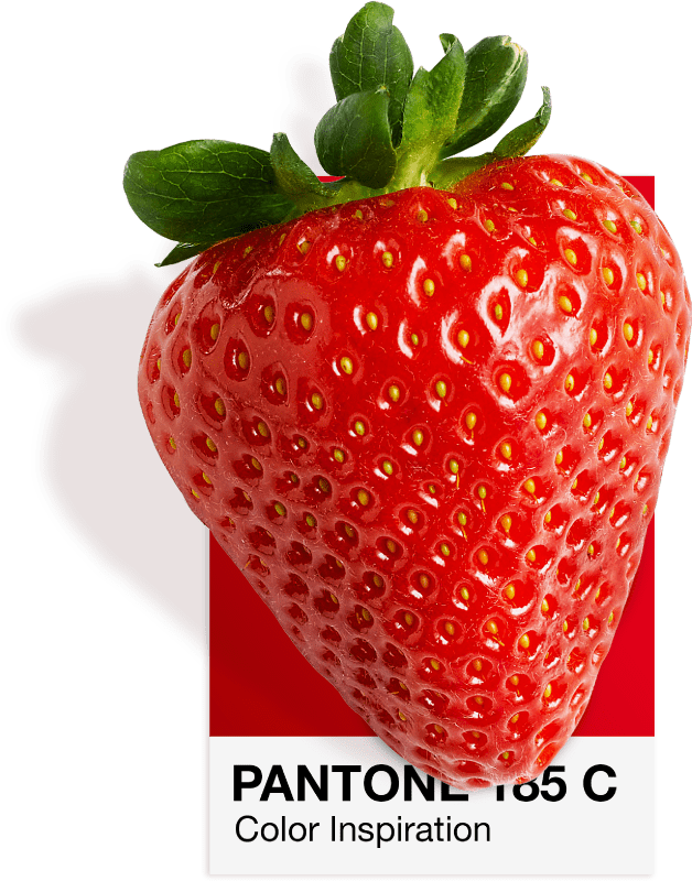 Fresa sobre una carta de color Pantone 185 C, el rojo de Vatra