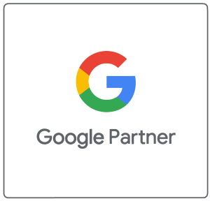 Insignia Google Partner de Vatra Agency